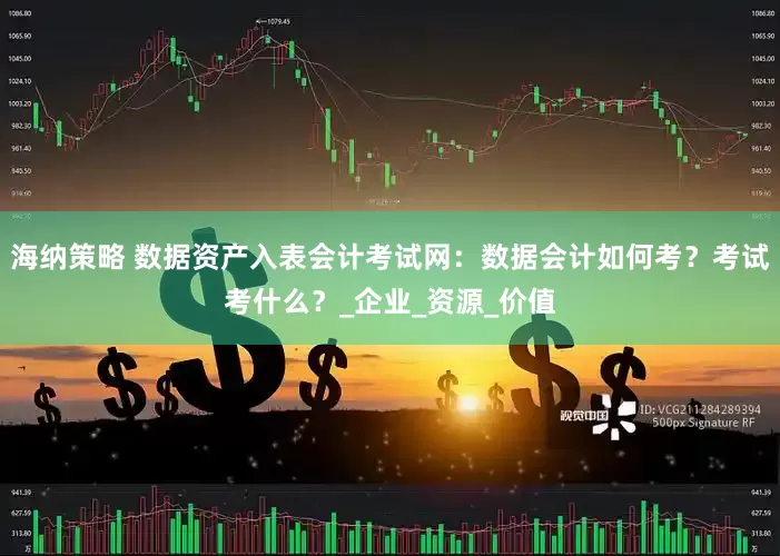 海纳策略 数据资产入表会计考试网：数据会计如何考？考试考什么？_企业_资源_价值