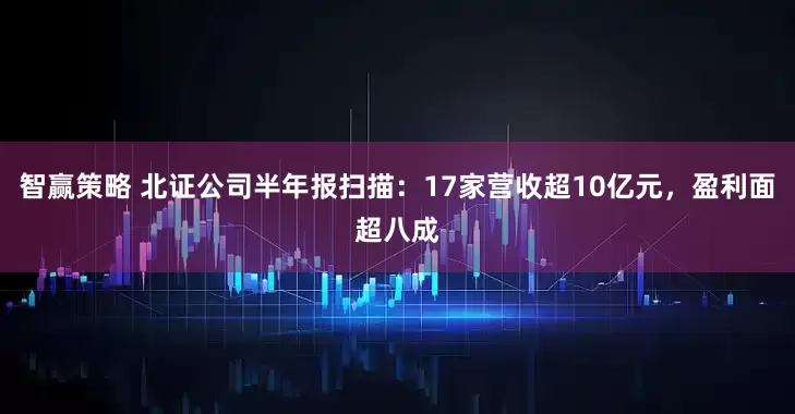 智赢策略 北证公司半年报扫描：17家营收超10亿元，盈利面超八成