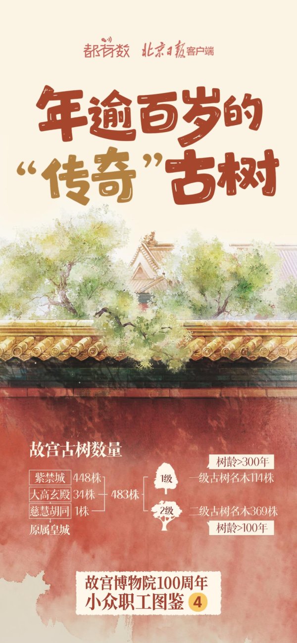 星速配资 故宫博物院100周年｜这群故宫“职工”里，100岁只能算小孩儿