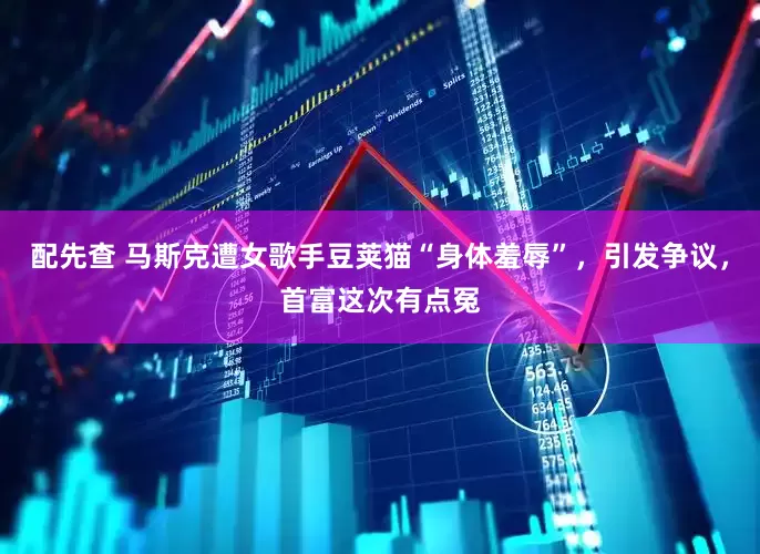 配先查 马斯克遭女歌手豆荚猫“身体羞辱”，引发争议，首富这次有点冤